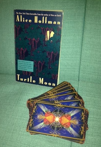 turtle moon book cover home2